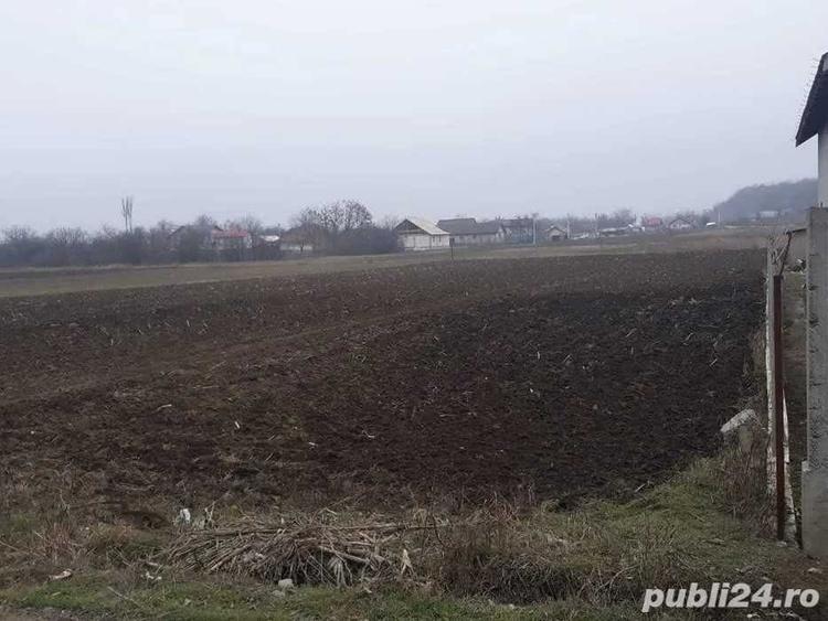 Teren de 2000 mp, în Bora