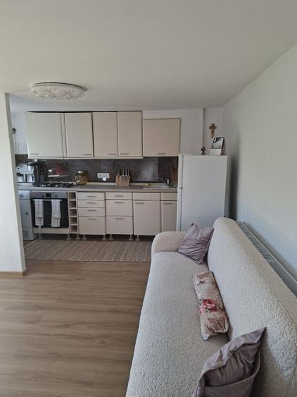 Casă cu 2 camere cu Teren 350 Mp în Copăcelu