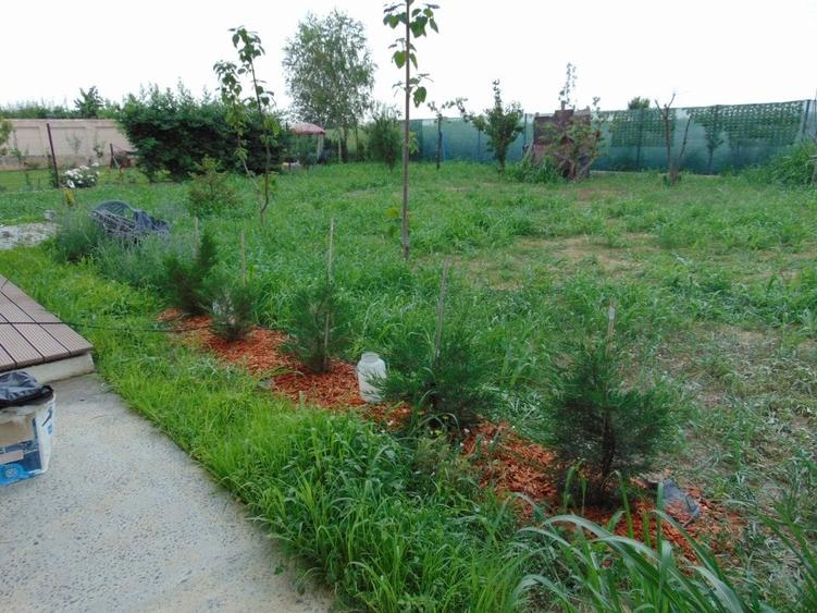 Casă individuală cu 3 camere cu Canalizare în Tărtășești