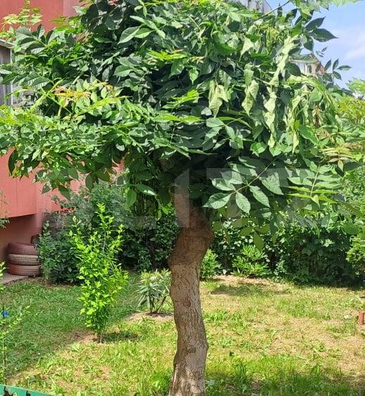 Cernatu, Săcele – Apartament 2 camere cu balcon mare, parter înalt - 15