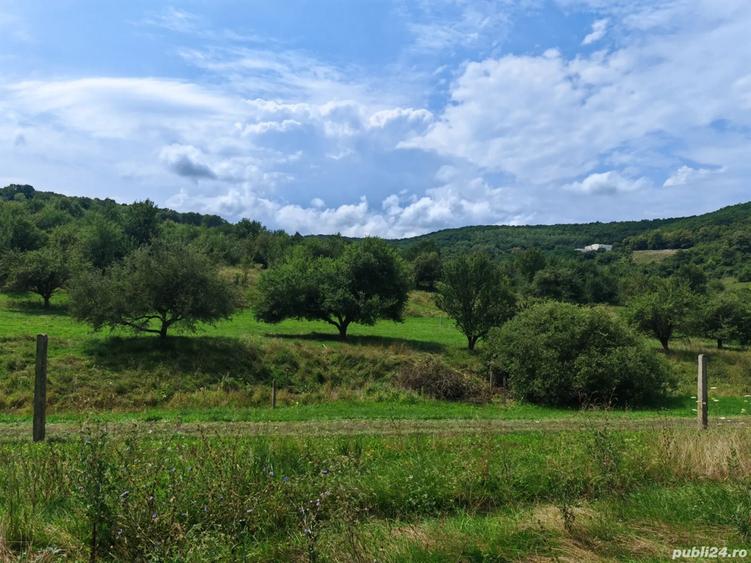 Teren de 623 mp, în Florești
