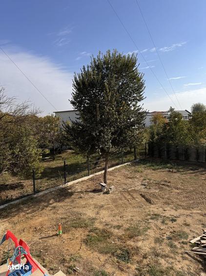 Casă cu 5 camere decomandat cu Teren 380 Mp în Giroc
