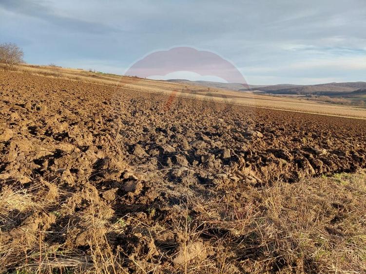 Teren agricol intravilan de 7200 mp, în Secuieni