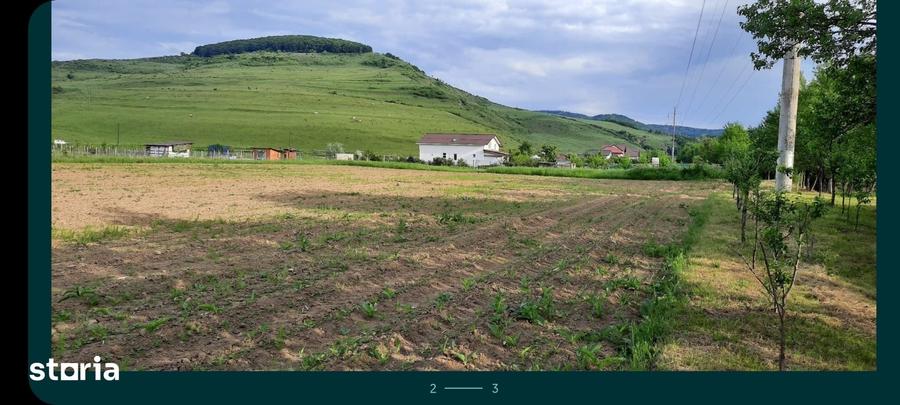 Teren de vanzare, acces asfaltat, 2900 mp - 1