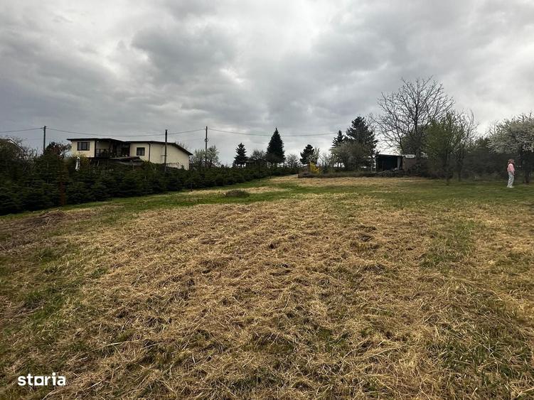 Casă cu 2 camere în Săldăbagiu de Munte