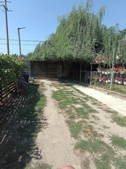 Casă cu Teren 2100 Mp în Crivina