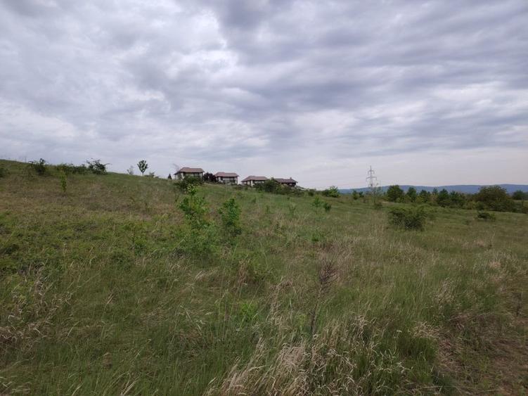 Teren Construcții intravilan de 1800 mp, în Ciurbești