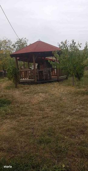Teren de 6200 mp, în Mogoșești