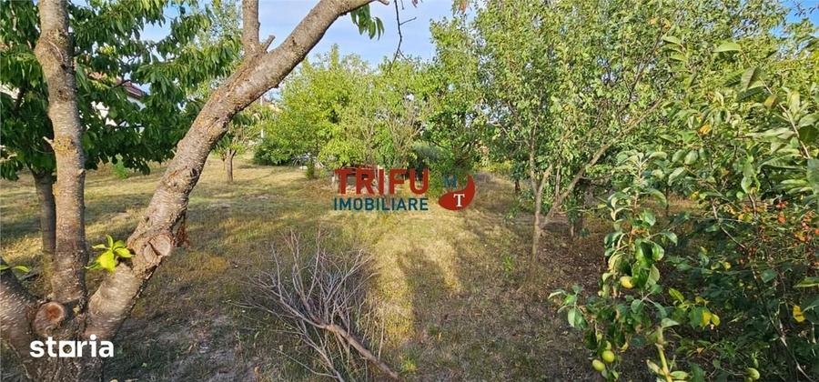 Teren Intravilan de Vanzare in Ighiu, 747 mp Ideal pentru Casa intr- - 6