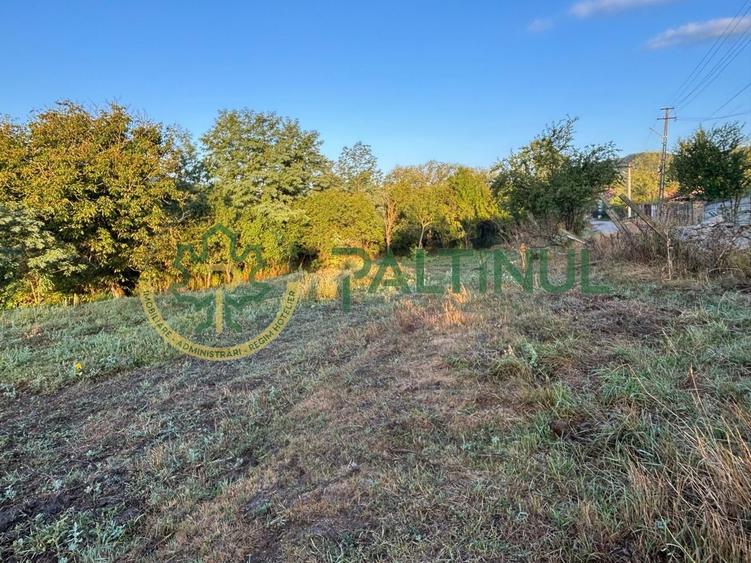 Teren agricol intravilan de 2617 mp, în Loamneș