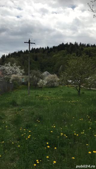 Teren de 5400 mp, în Agapia