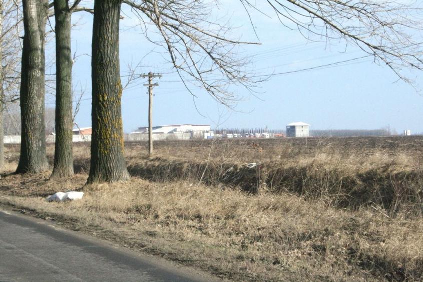 Teren agricol extravilan de 9200 mp, în Afumați