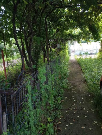 Casă cu 3 camere în Hăbud