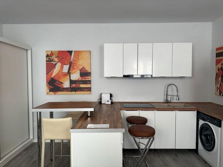 Oferim inspre inchiriere studio in Ghimbav pet friendly - 7