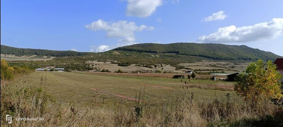 Teren Construcții intravilan de 12300 mp, în Sud