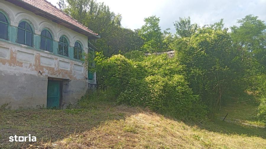 Casă cu 5 camere cu Teren 9515 Mp în Șerbănești