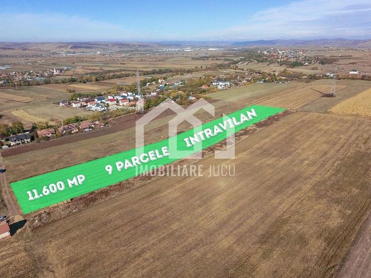 Teren de 11600 mp, în Jucu