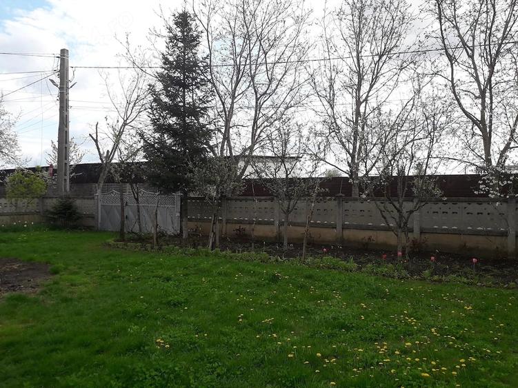 Teren de 1150 mp, în Central