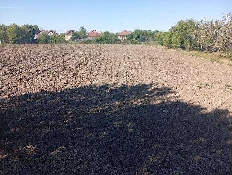 Casă cu 3 camere în Mișca