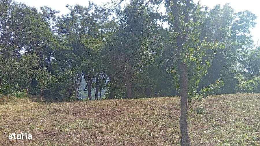 Casă cu 4 camere în Brădișor