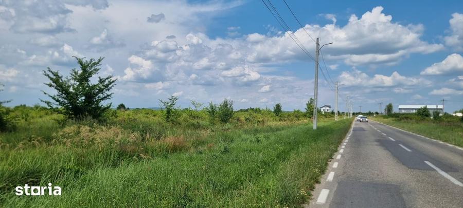 Teren de 8000 mp, în Bradu