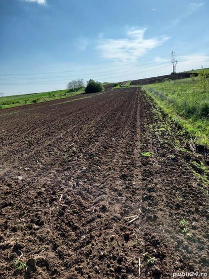 Teren de 5000 mp, în Bradu
