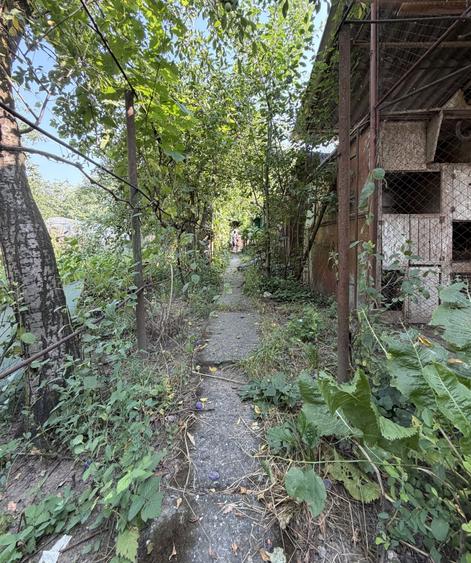 Casă individuală cu 6 camere cu Canalizare în Ghiroda