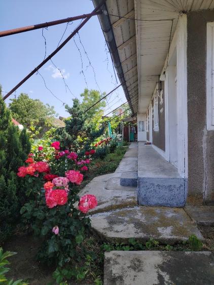 Casă individuală cu 4 camere cu Teren 2400 Mp în Cârja