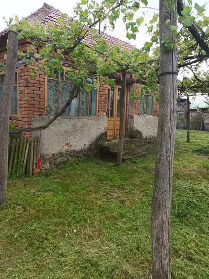 Casă cu 3 camere cu Teren 6000 Mp în Bretea Mureșană