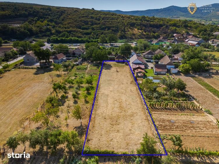 Teren de 1664 mp, în Micălaca