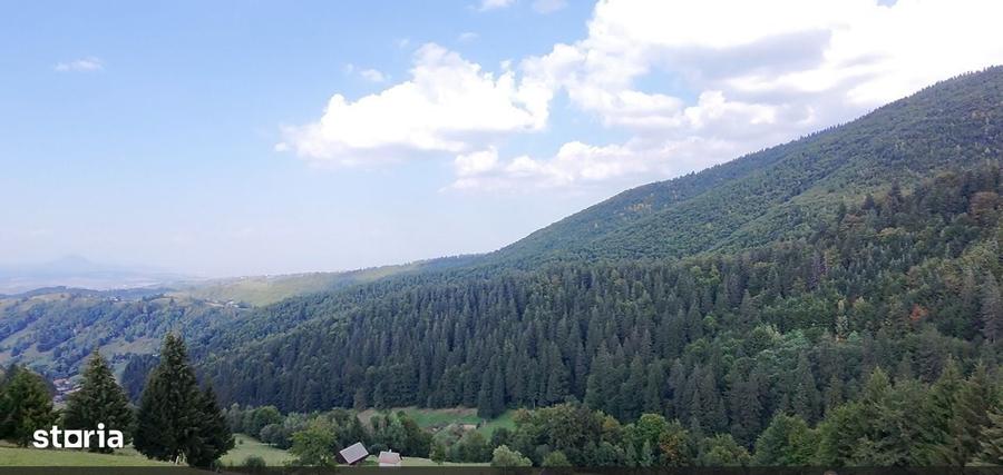 Spațiu comercial, în Șimon