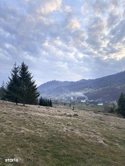 Teren de 1000 mp, în Mălini