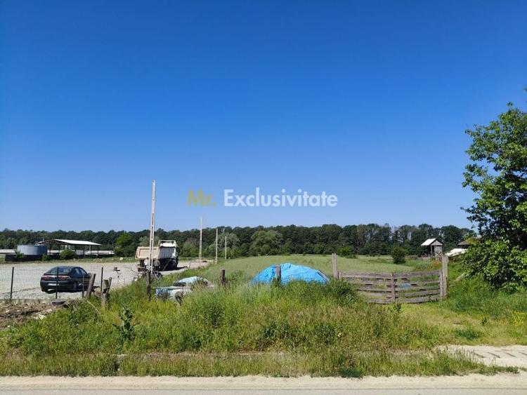 Teren agricol intravilan de 10294 mp, în Sud