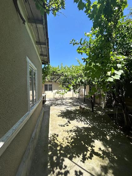 Casă cu Teren 14000 Mp în Bărăganul