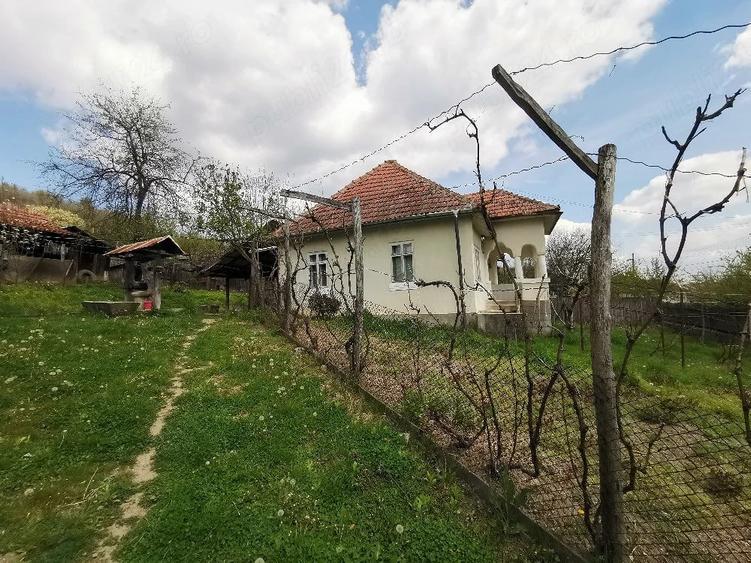 Casă cu 4 camere cu Teren 4212 Mp în Lupșa de Sus