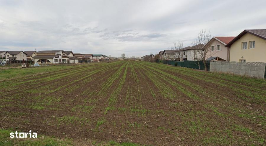 Teren Extravilan Padurea Craiului la intrarea in Com. Berceni | 3200mp - 1