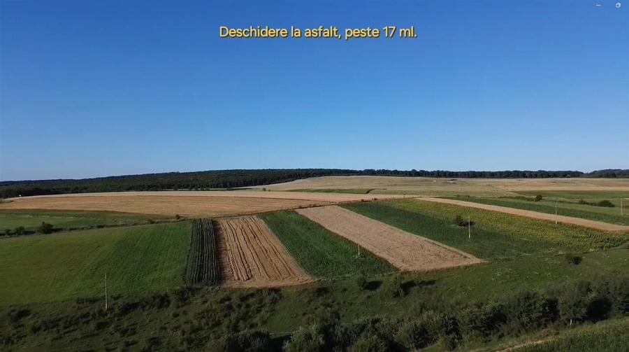 Teren Intravilan 1295 mp Drumul spre Manastirea Mitocu Dragomirnei - 5