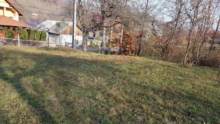 Teren Construcții intravilan de 7412 mp, în Bârsana