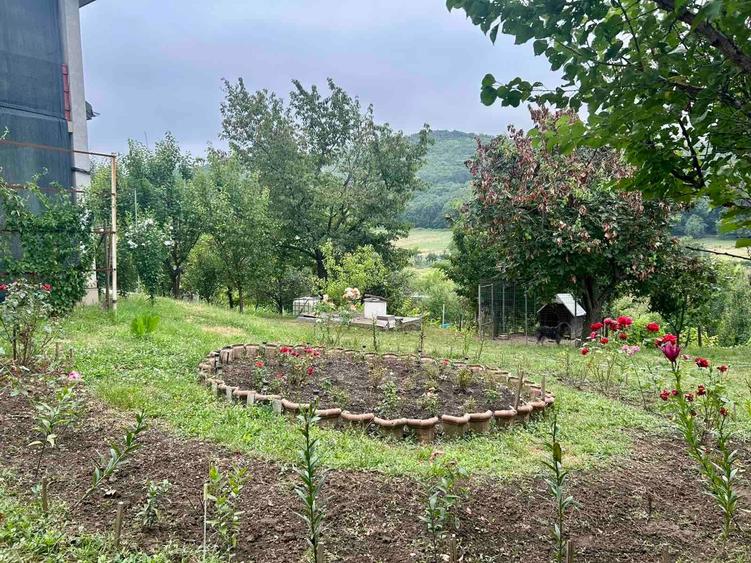 Casă individuală cu 3 camere cu Teren 2200 Mp în Tomești