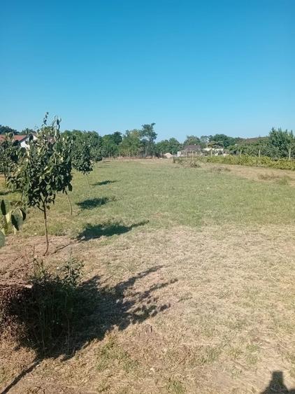 Vanzare teren intravilan - 3