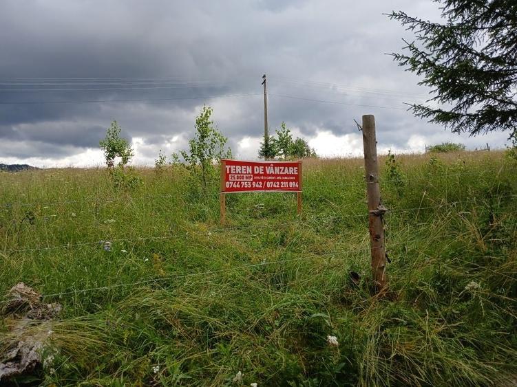 Teren de 25000 mp, în Panaci