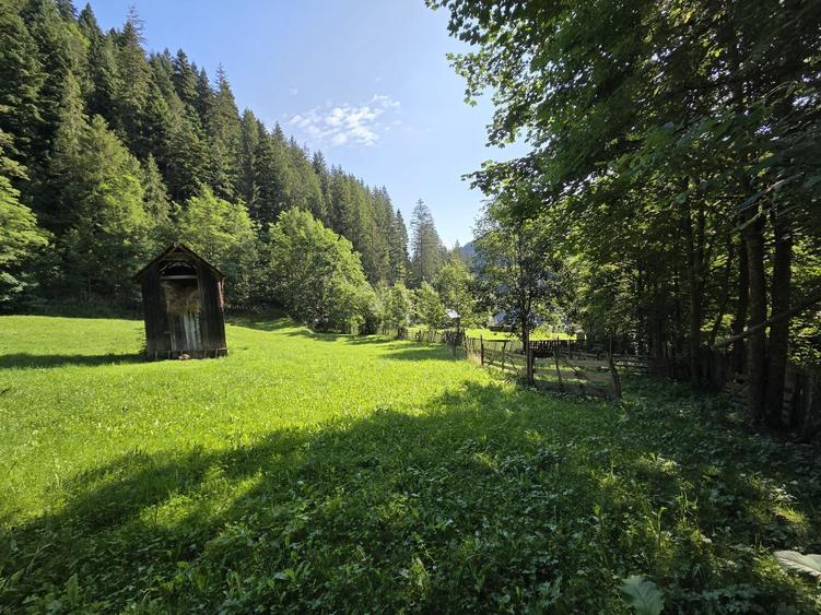 Teren de 3386 mp, în Borca