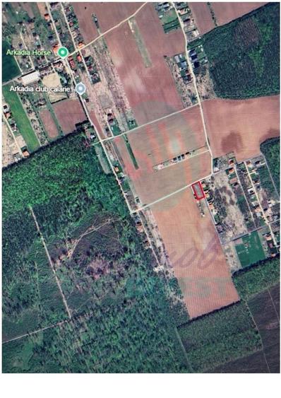 Vanzare teren constructie casa CIOFLICENI - SNAGOV - 1