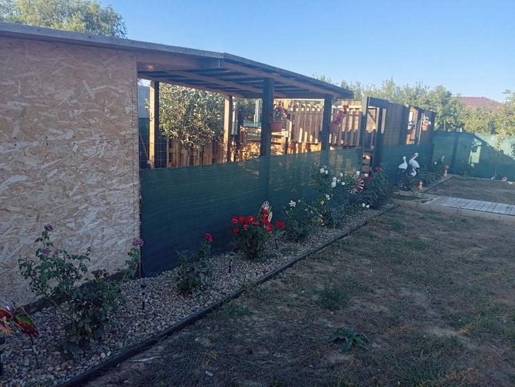 Casă cu 3 camere în Biharia