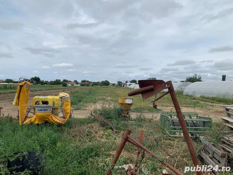 Casă cu 6 camere cu Teren 7805 Mp în Belinț