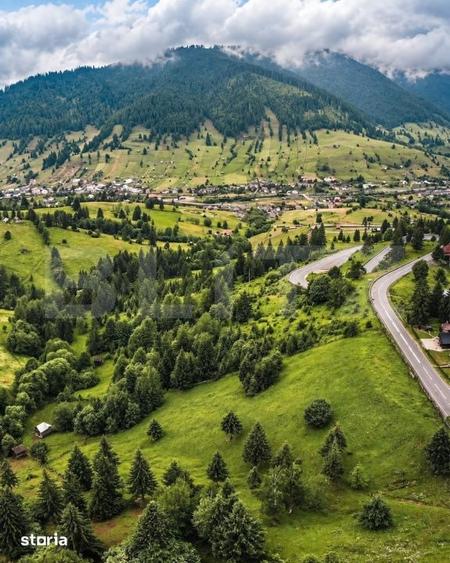 Teren de 22870 mp, în Stoicănești