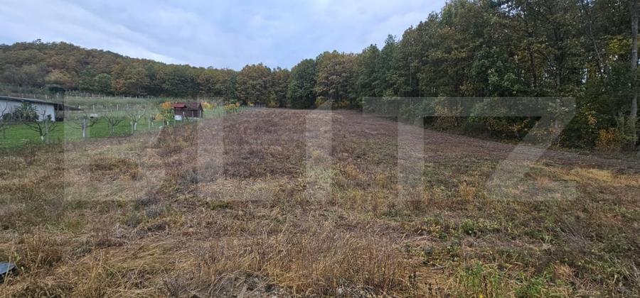 Teren Construcții intravilan de 2882 mp, în Bejan