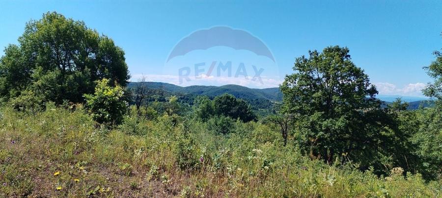 Teren Construcții intravilan de 3871 mp, în Vărmaga