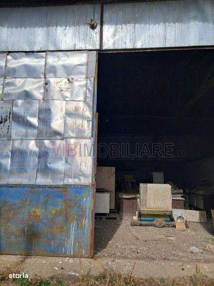 Spațiu comercial, de 392 mp, în Orțișoara