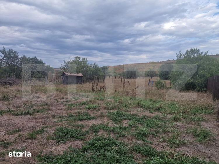 Casă cu 4 camere cu Teren 5300 Mp în Sava